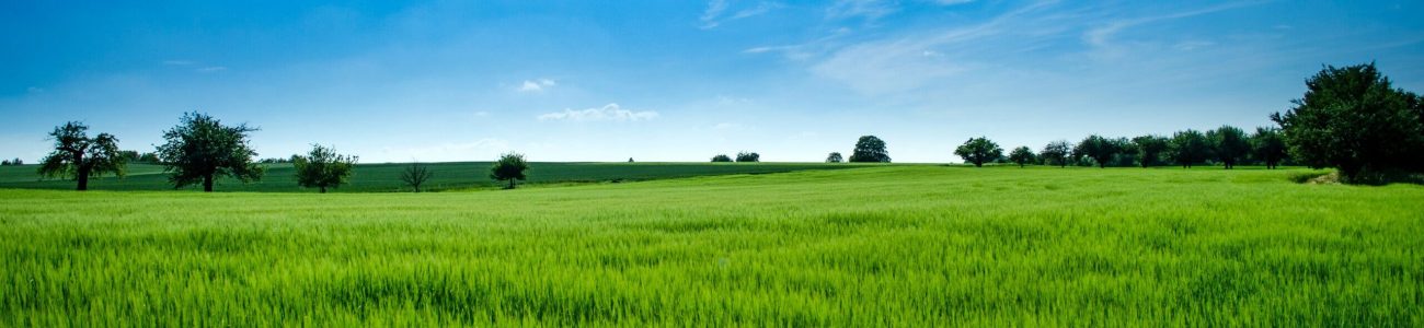 How We Can Help Selling Land