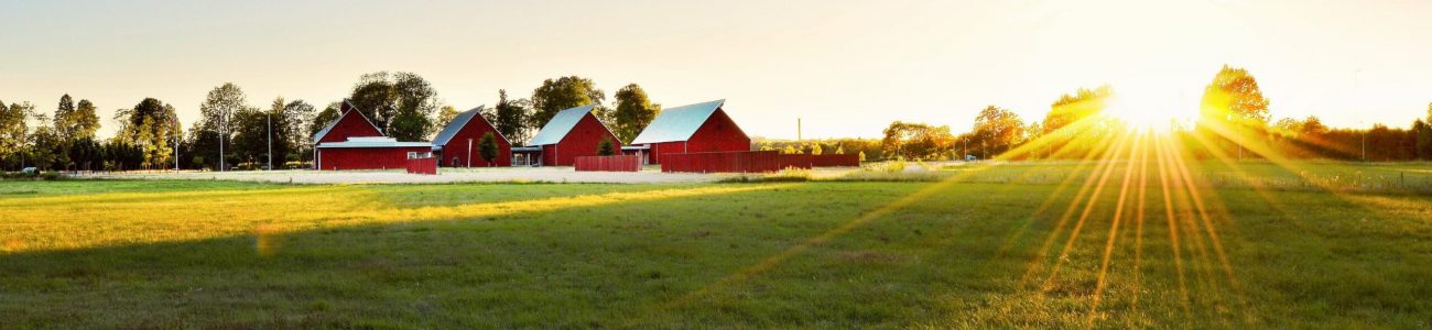Selling Land Farm