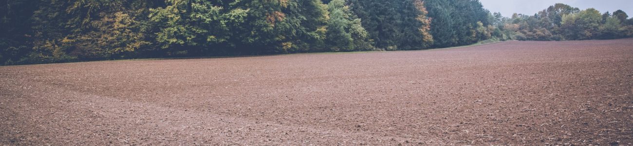 pexels-markus-spiske-102728 (1)